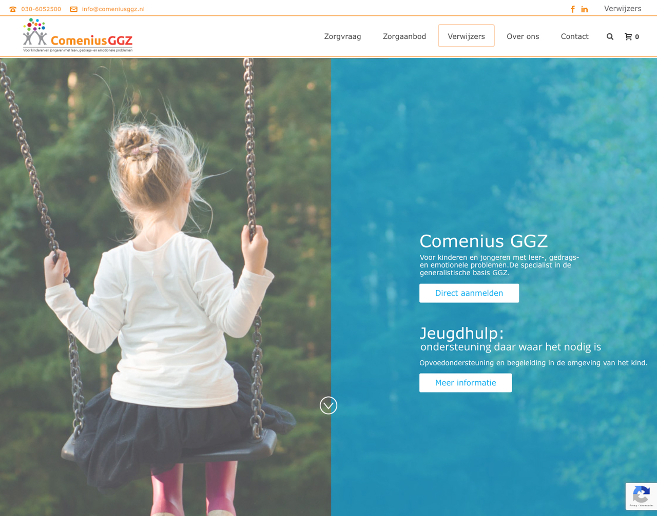 Comenius GGZ website eHealth88